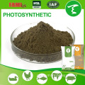 fish farm Feed Additive, Poultry Feed Additive, Animal Feed photosynthetic bacteria